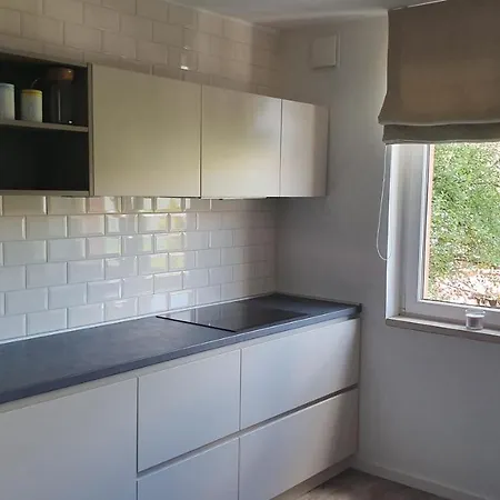 Apartma Vic