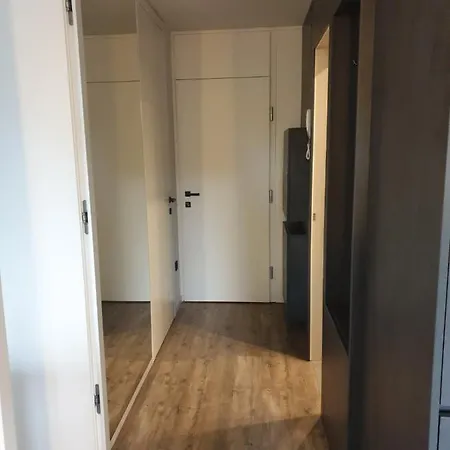 Apartma Vic *